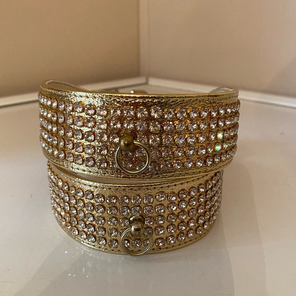 Dog collar with rhinestones.
ONE-18” collar fits a 16”neck. GOLD